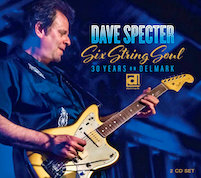 Dave Specter: Six String Soul (30 Years On Delmark)