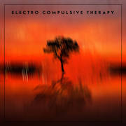 Electro Compulsive Therapy: Electro Compulsive Therapy