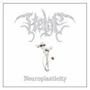 Review: Helge - Neuroplasticity