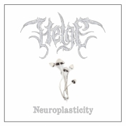 Helge: Neuroplasticity