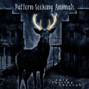 Pattern-Seeking Animals: Only Passing Through