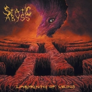Static Abyss: Labyrinth of Veins