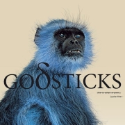 Godsticks - This Is What a Winner Looks Like