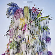Review: Wilco - Cousin – Vinyl-Ausgabe