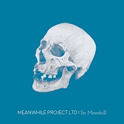 Review: Meanwhile Project LTD - Sir Mandrill