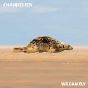Chandelier: We Can Fly