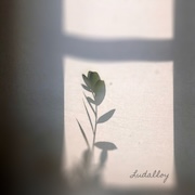 Review: Ludalloy - Lumenari