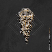 Review: Midas Fall - Cold Waves Divide Us