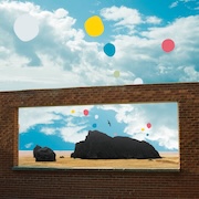 Admiral Fallow: First Of The Birds