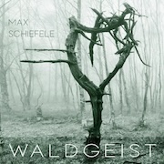 DVD/Blu-ray-Review: Max Schiefele - Waldgeist